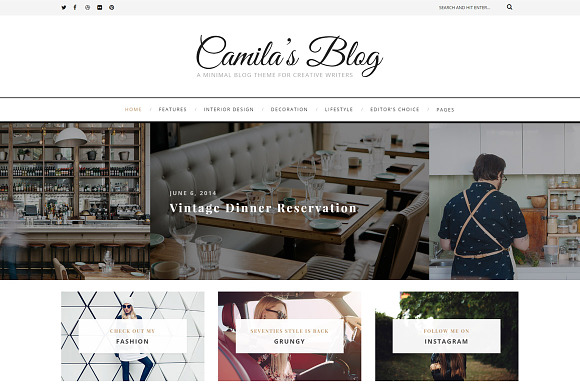 Camila - WordPress Blog Theme in WordPress Blog Themes - product preview 5