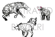 African Hyenas Ink Illustrations