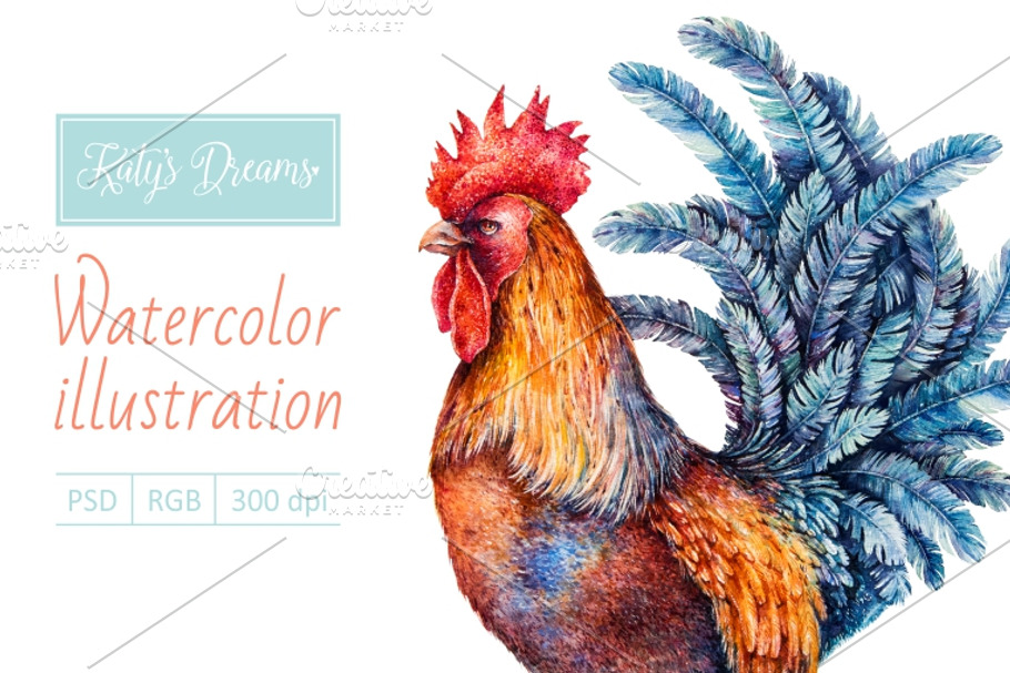 Watercolor rooster in Illustrations - product preview 8