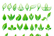 Leaf icons vector illustration
