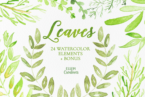 Watercolor Leaves Clipart in Illustrations - product preview 1