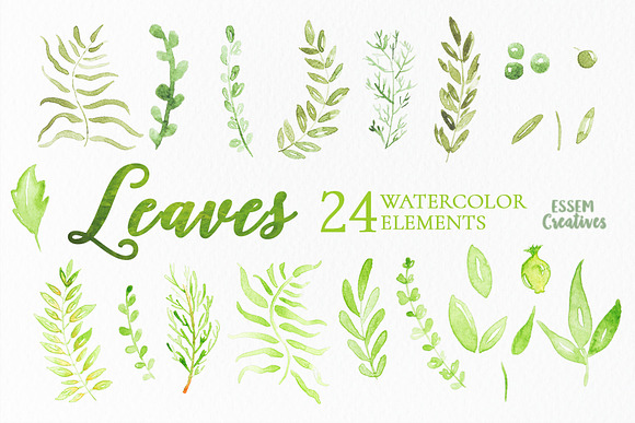 Watercolor Leaves Clipart in Illustrations - product preview 2