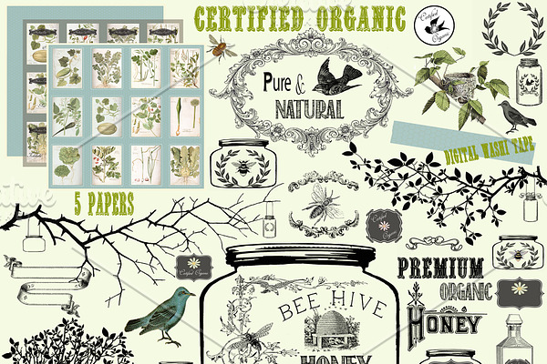 Certified Organic Clipart & Brushes