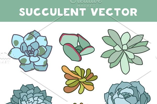 Succulent vector pattern & invite