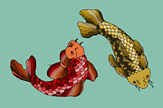 Red and Gold carps