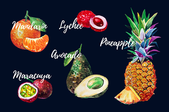 Fresh Watercolor Fruits Shop in Illustrations - product preview 1