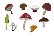 Wood mushrooms set. Hand drawn