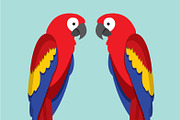 macaw/parrot vector