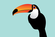 toucan vector/illustration