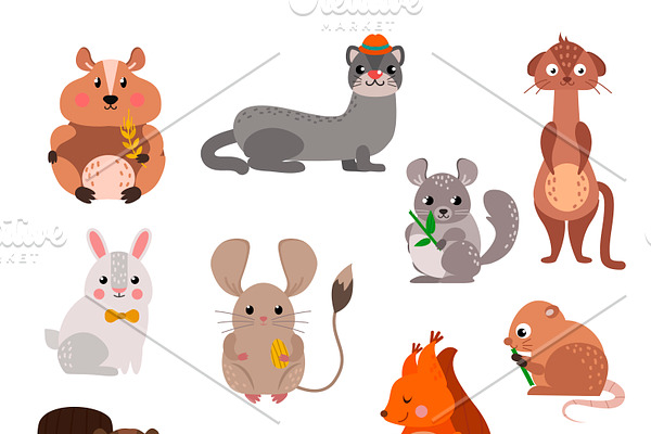 Cartoon rodents animals vector set
