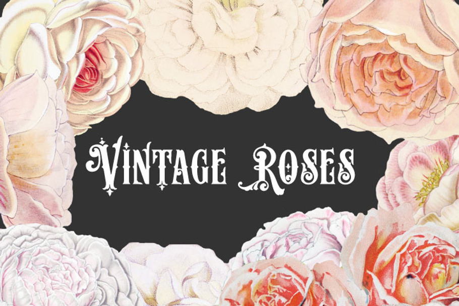 Vintage Pastel Roses