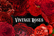 Vintage Red Roses