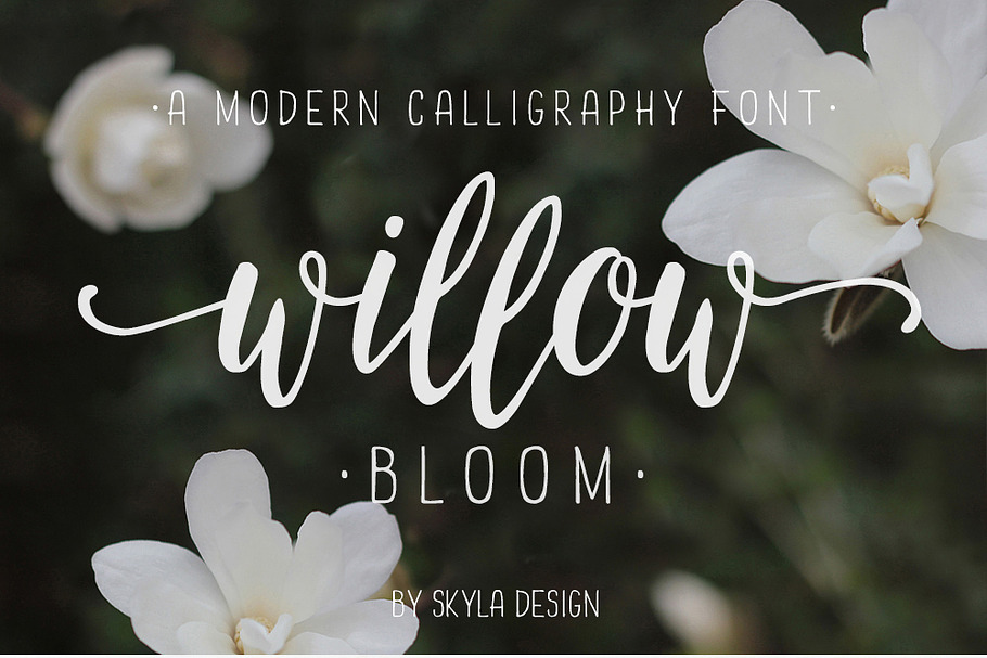 Willow Bloom modern calligraphy font in Scrapbooking Fonts - product preview 8