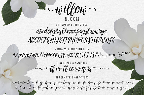 Willow Bloom modern calligraphy font in Scrapbooking Fonts - product preview 4