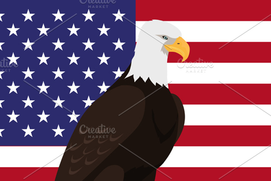 Bald Eagle Flat Design in Illustrations - product preview 8