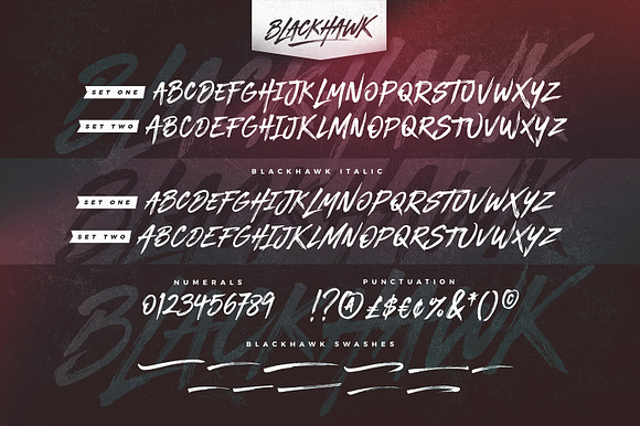 BLACKHAWK Brush Font in Brush Fonts - product preview 5