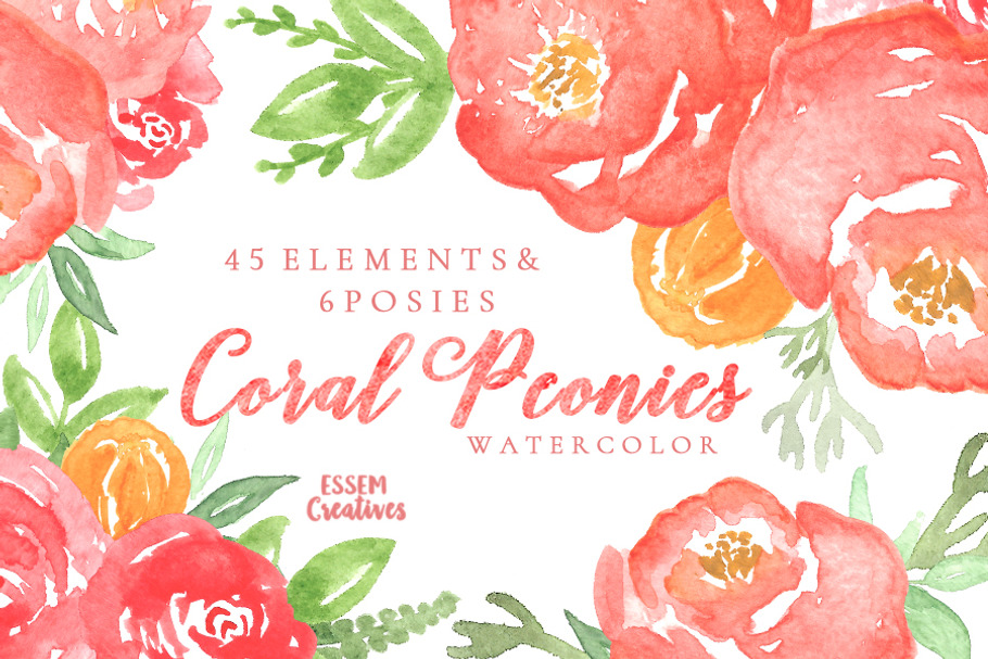 Coral Watercolor Peonies Clipart