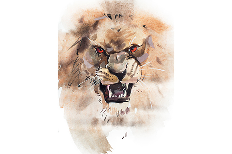 Watercolor drawing of lion