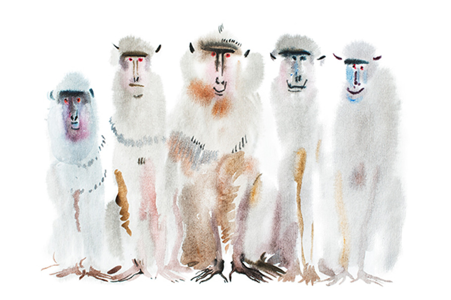 Watercolor portrait of monkeys