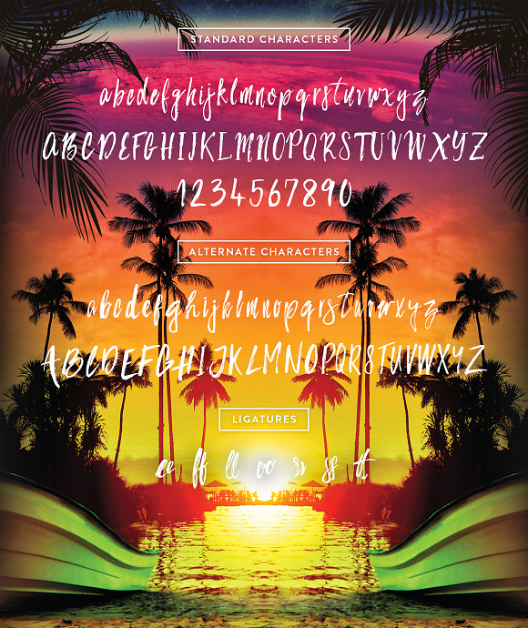 Bahamas Brush Font in Script Fonts - product preview 5