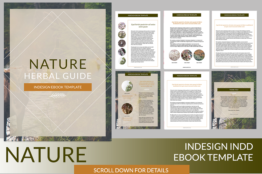 Nature InDesign Ebook Template in Presentation Templates - product preview 8