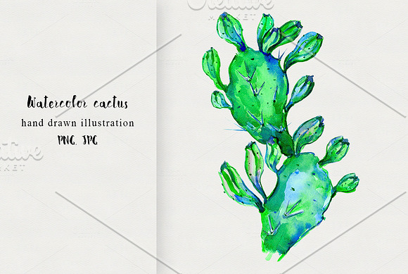 Watercolor cactus seamless patterns in Patterns - product preview 4