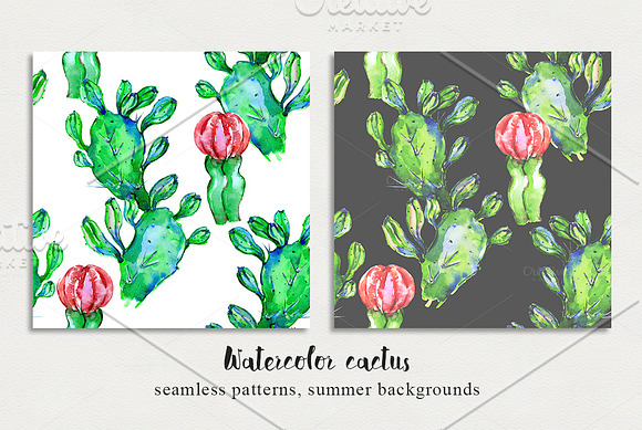 Watercolor cactus seamless patterns in Patterns - product preview 5