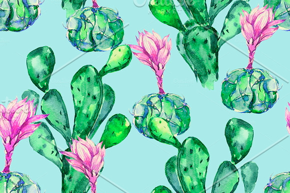 Watercolor cactus seamless patterns in Patterns - product preview 6