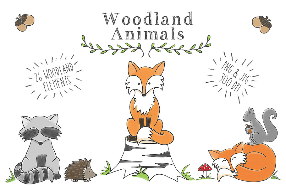 Woodland Animal Clip Art Set