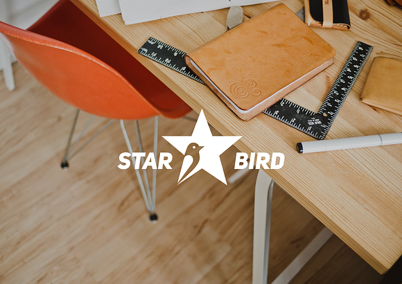 Star Bird logo in Logo Templates - product preview 3