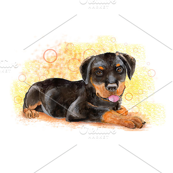 Watercolor Animals Set - DOGS Vol. 6 in Illustrations - product preview 1