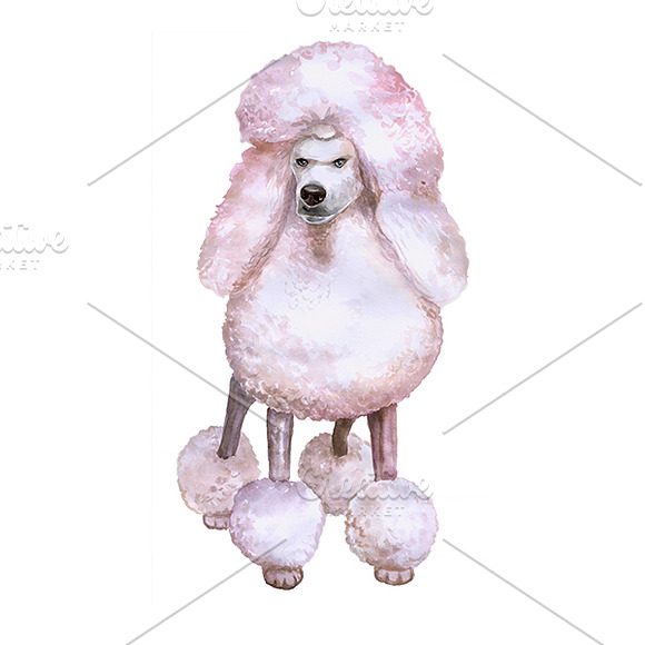 Watercolor Animals Set - DOGS Vol. 6 in Illustrations - product preview 3