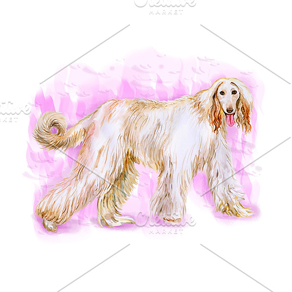 Watercolor Animals Set - DOGS Vol. 6 in Illustrations - product preview 4