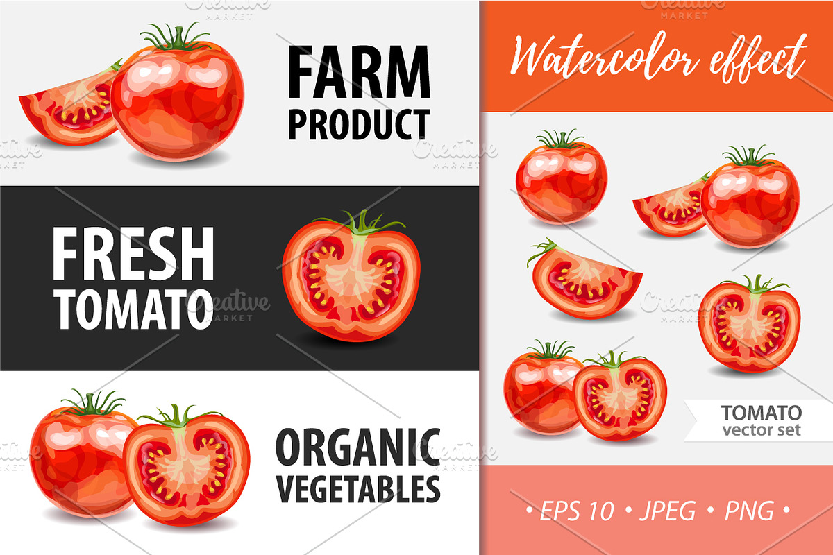 Tomato vector set in Illustrations - product preview 8