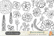 Succulent Outlines - Photoshop Brush