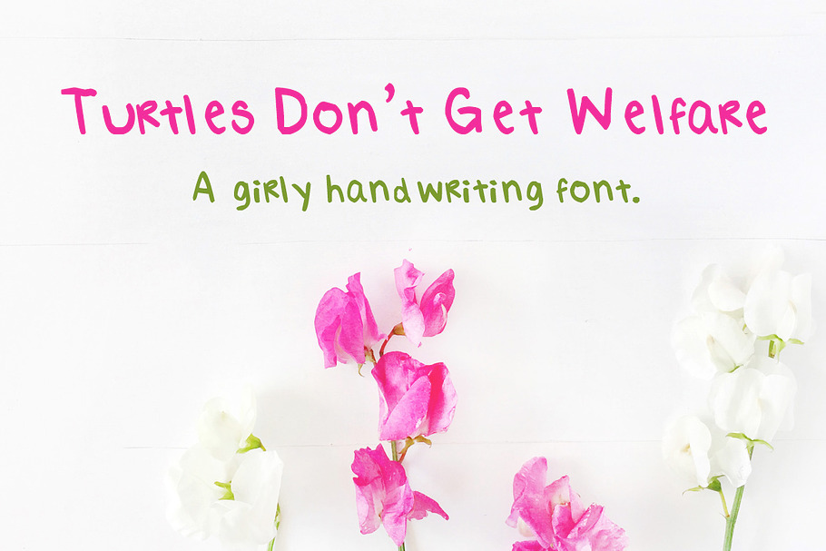Turtles Don't Get Welfare- a Font in Sans-Serif Fonts - product preview 8