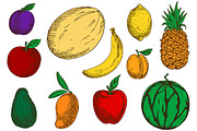 Colored fruits sketches