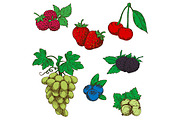 Berries sketches