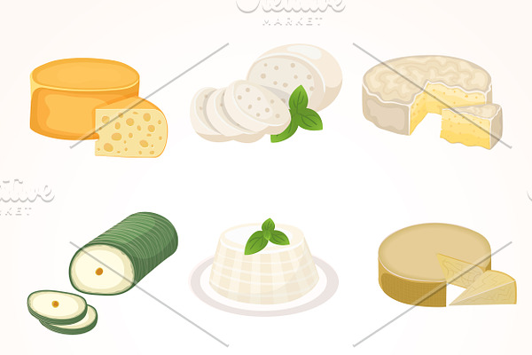Cheese varieties vector