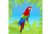 Ara Parrot