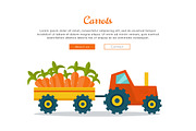 Carrot Farm Web Vector