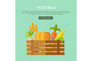 Vegetable Vector Web Banner