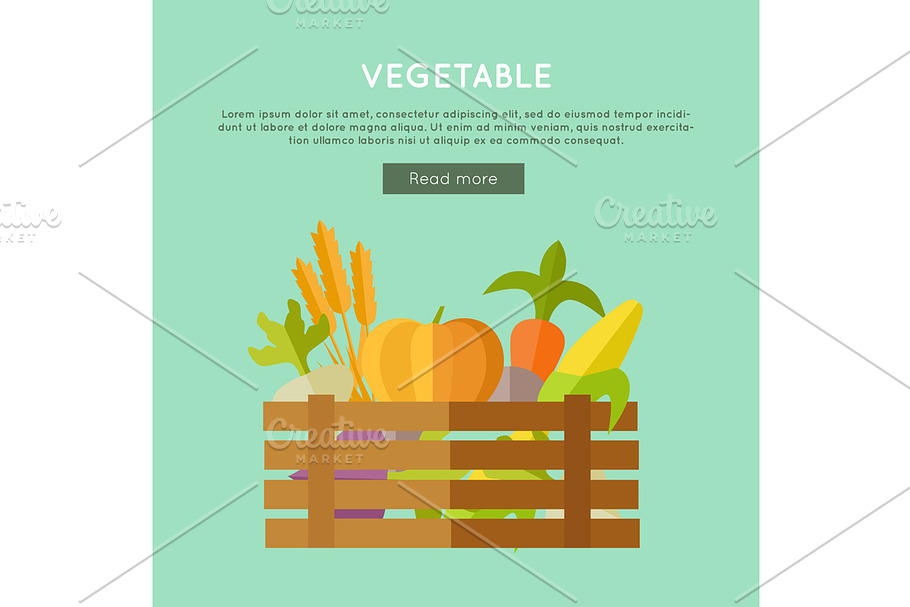 Vegetable Vector Web Banner in Illustrations - product preview 8