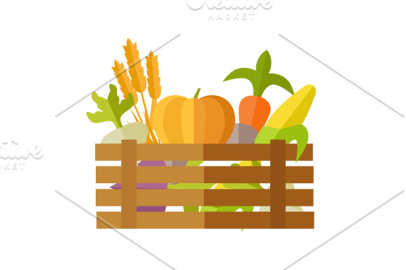 Vegetable Vector Web Banner in Illustrations - product preview 1
