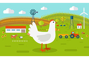 Hen on Farmyard