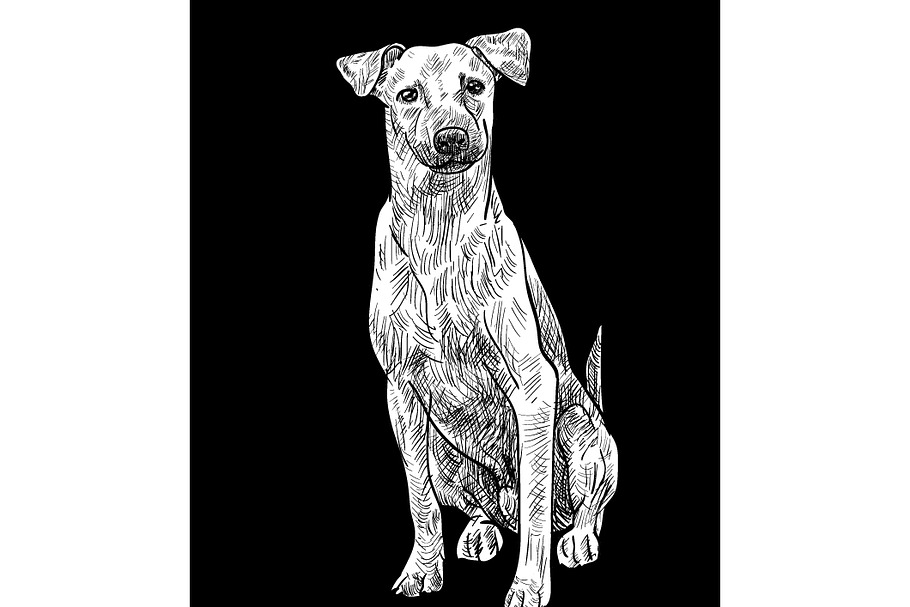 Sitting brown dog in Illustrations - product preview 8