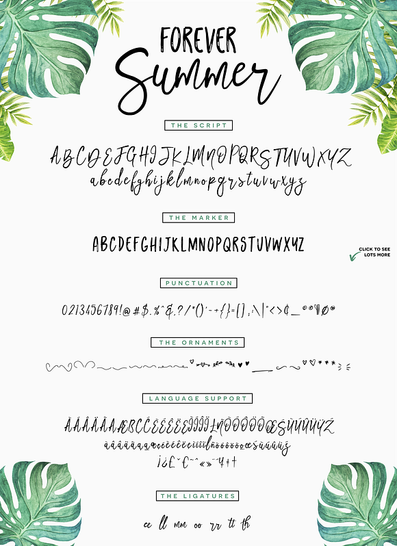 Forever Summer + Extras in Script Fonts - product preview 7