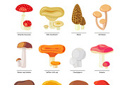 Vector mushrooms icons