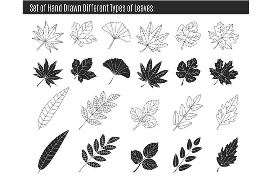 Set of different types of leaves in Objects - product preview 8