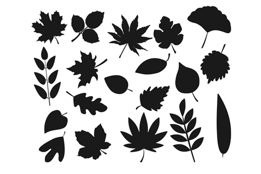 Collection of leaf silhouettes in Objects - product preview 8
